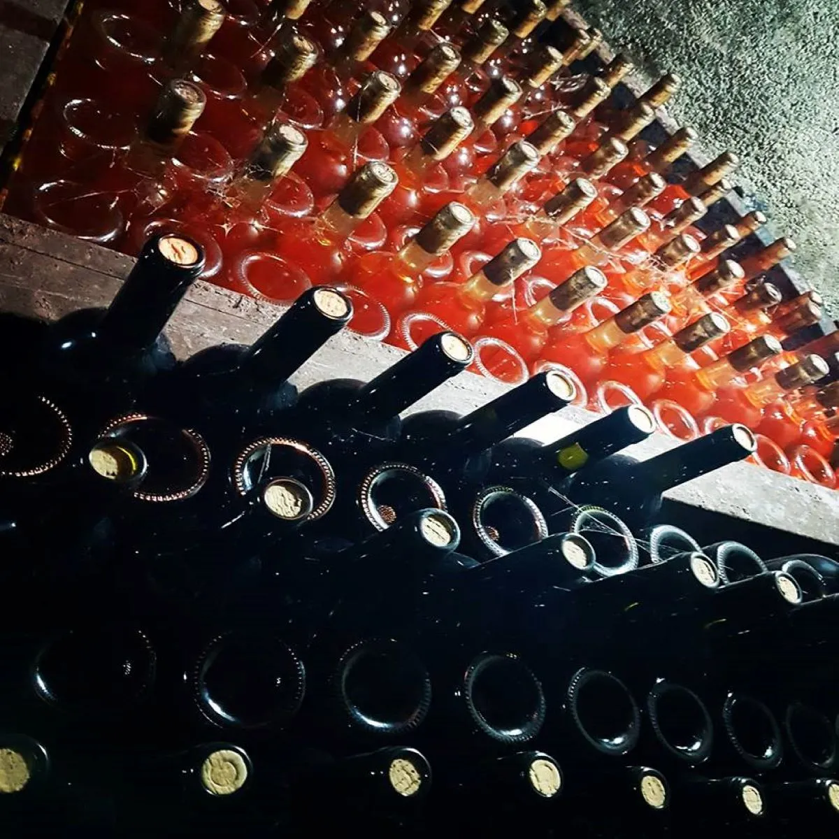 Degustare vin Crama Tohani Severin - Vinuri autentice din Dealu Mare